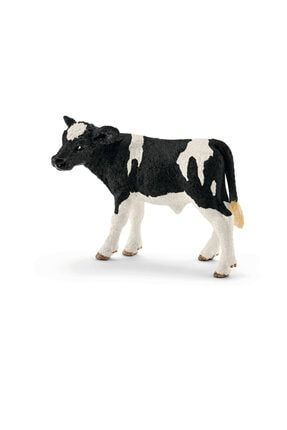 13798 Holstein Buzağı MP36065