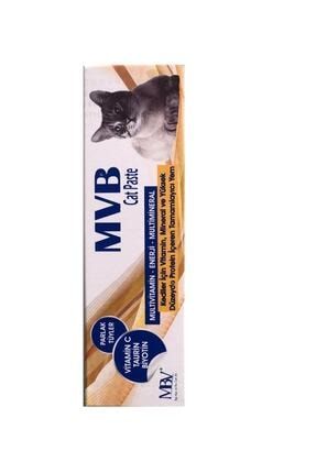 Mvb Cat Paste Kedi Vitamini 003