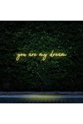 You Are My Dream Neon Duvar Yazısı Dekoratif Duvar Aydinlatmasi Gece Lambası BL1897