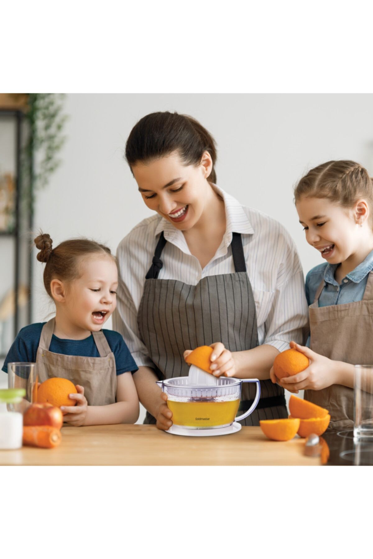 GOLDMASTER-Pro Fresh 40W Citrus Juicer with Chamber and Two-Way Rotation Feature 4