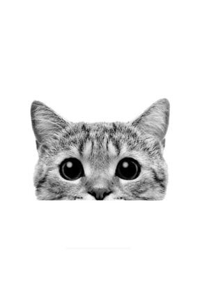 Sevimli Kedi Resmi Araba Sticker Yapıştırma Etiket 18cm STICKER2K16