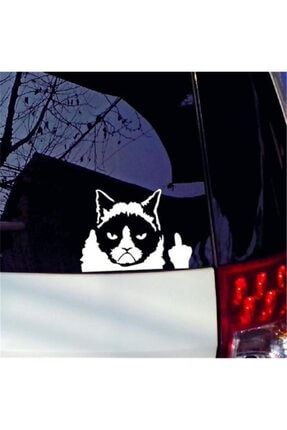 Kedi Komik Şaka Sticker Etiket Yapıştırma 19cm STICKER2K11