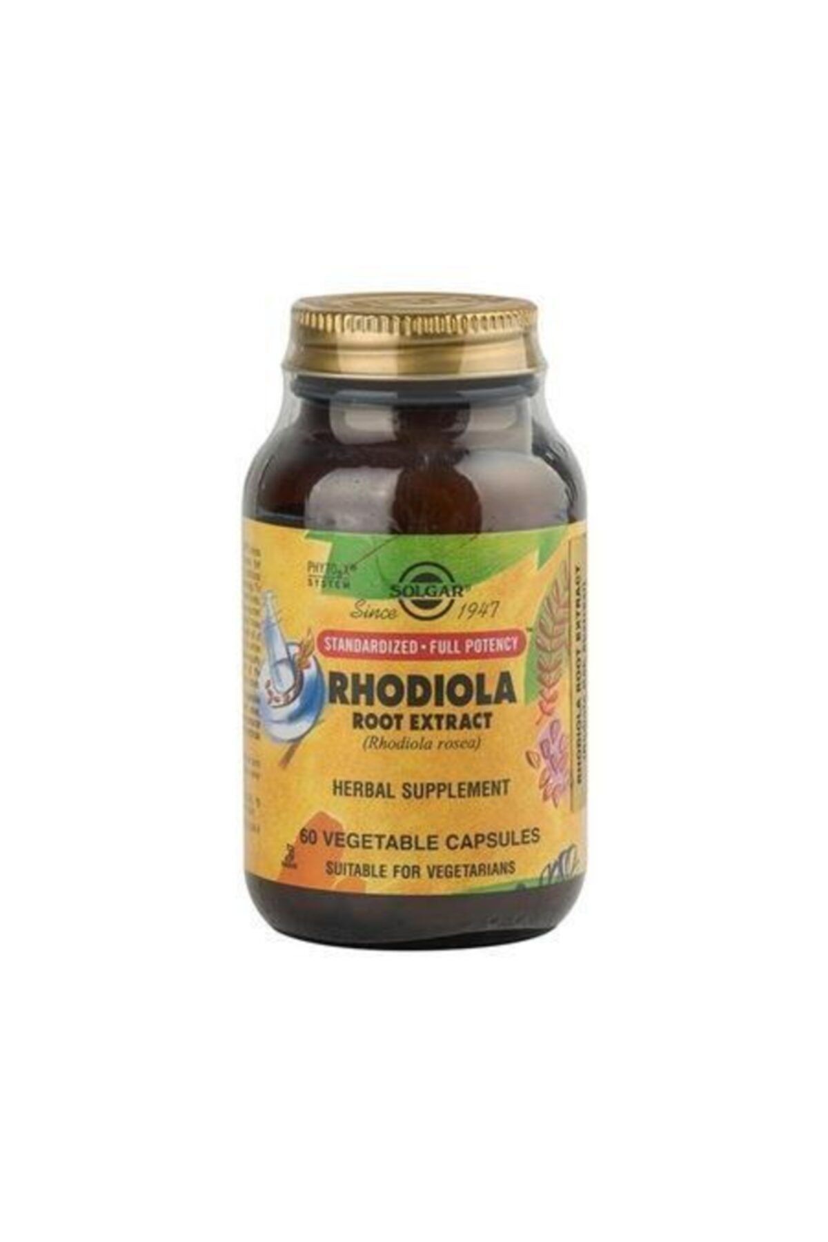 Solgar Rhodiola Root Extract Rhodiola Rosea 60 Kapsul Fiyati Yorumlari Trendyol