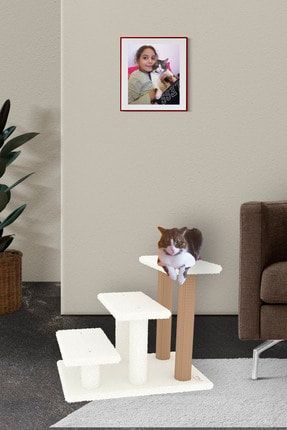 Tekir Kedi Tırmalama Ve Evcil Hayvan Merdiveni - Beyaz Tekir-Beyaz