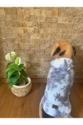 Kedi Köpek Kıyafeti & Elbisesi Kapüşonlu Sweat Model Batik bgdogbatiks