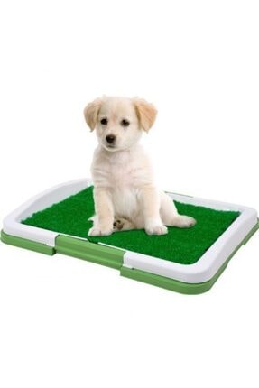 Genel Markalar Köpek Tuvalet Eğitim Seti