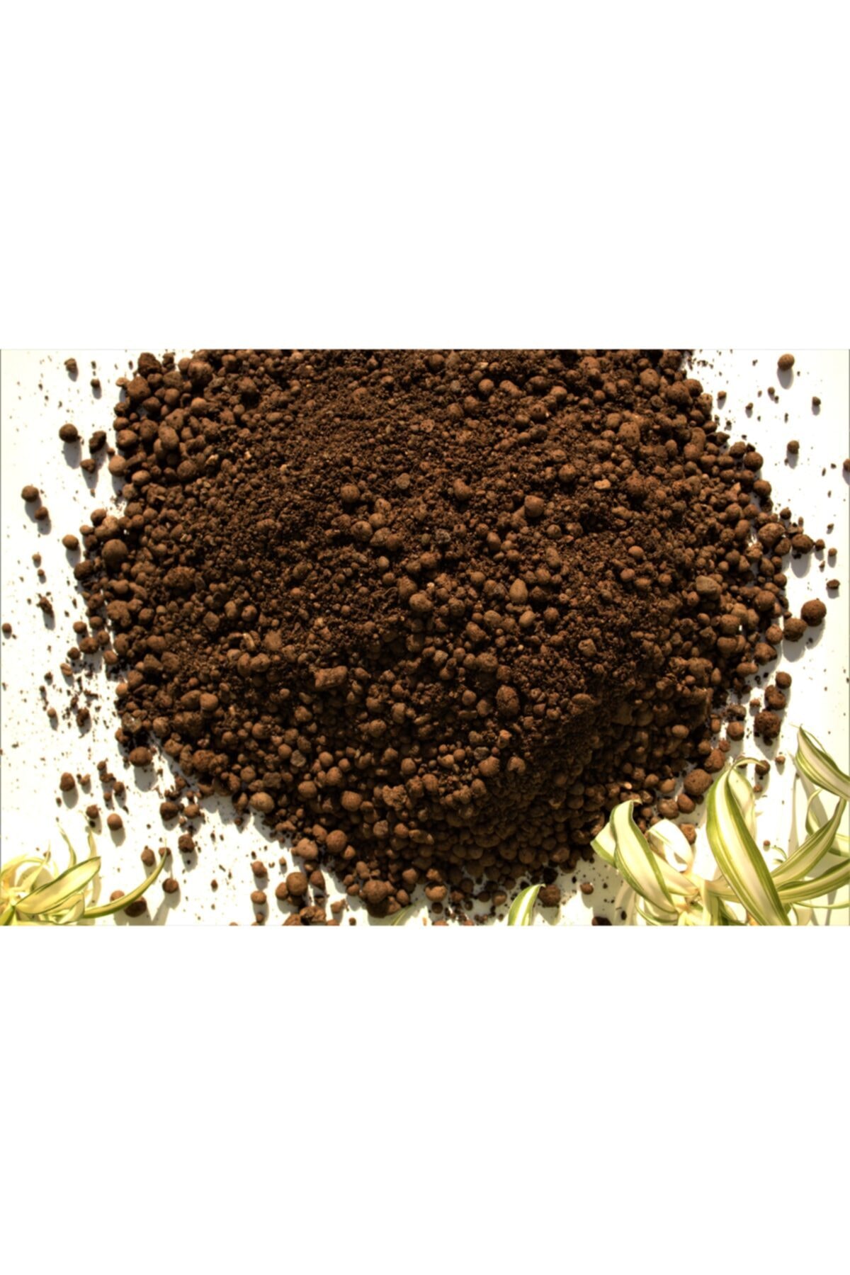 Kil Bilyesi 2 Lt (0-3 Mm) 1 Adet Kaktüs & Sukulent Için Hidroponik Toprak Lecat Hidrokültür Toprağı 5