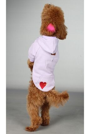 Kalp Nakışlı Sweatshirt Kedi Köpek Kıyafeti MAXSWS2PL