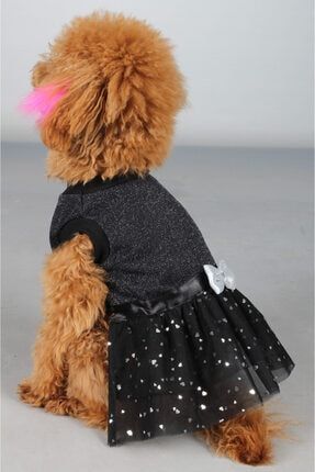 Maxdesign Kalp Pullu Simli Tütülü Elbise Kedi Köpek Kıyafeti MAXELBPNY