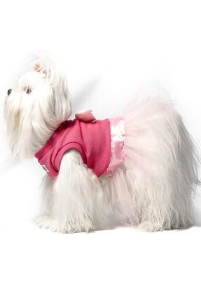 Tütülü Triko Elbise Kedi Köpek Kıyafeti MAXELBTRK