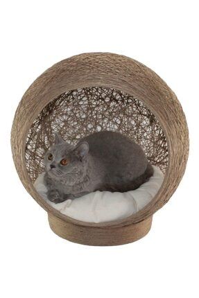 Lepus Kure Kedi Yuvasi Ekru Trendyol