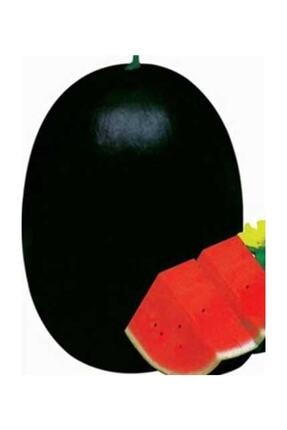 cam tohumculuk meshur adana karpuzu tohumu 5 adet tohum adana salbas karpuz tohumu fiyati yorumlari trendyol