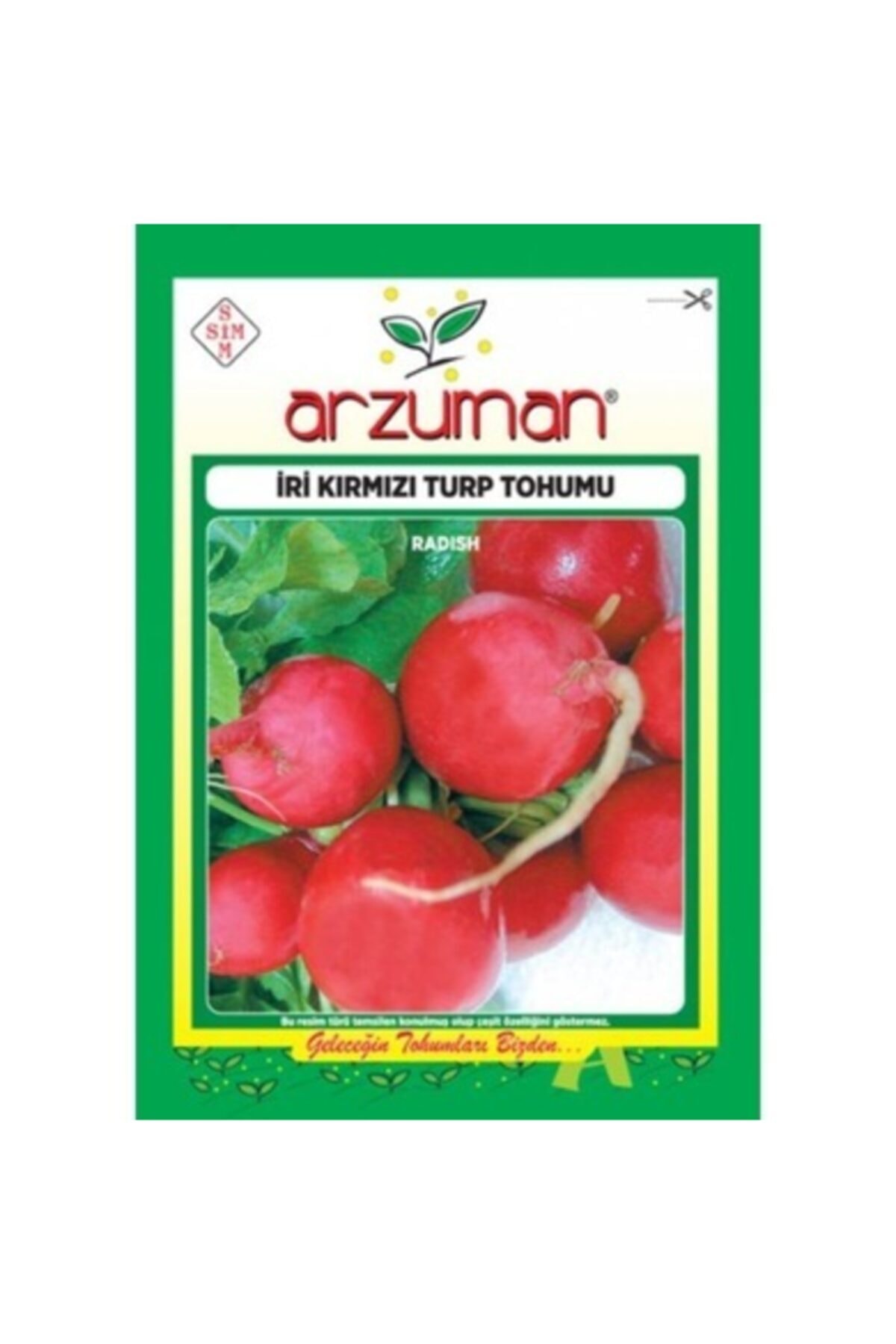 Large Radish Seed 25 Gr (pack)