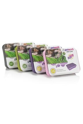 Eden Merakli Bahceci Kedi Otu Cimi Trendyol