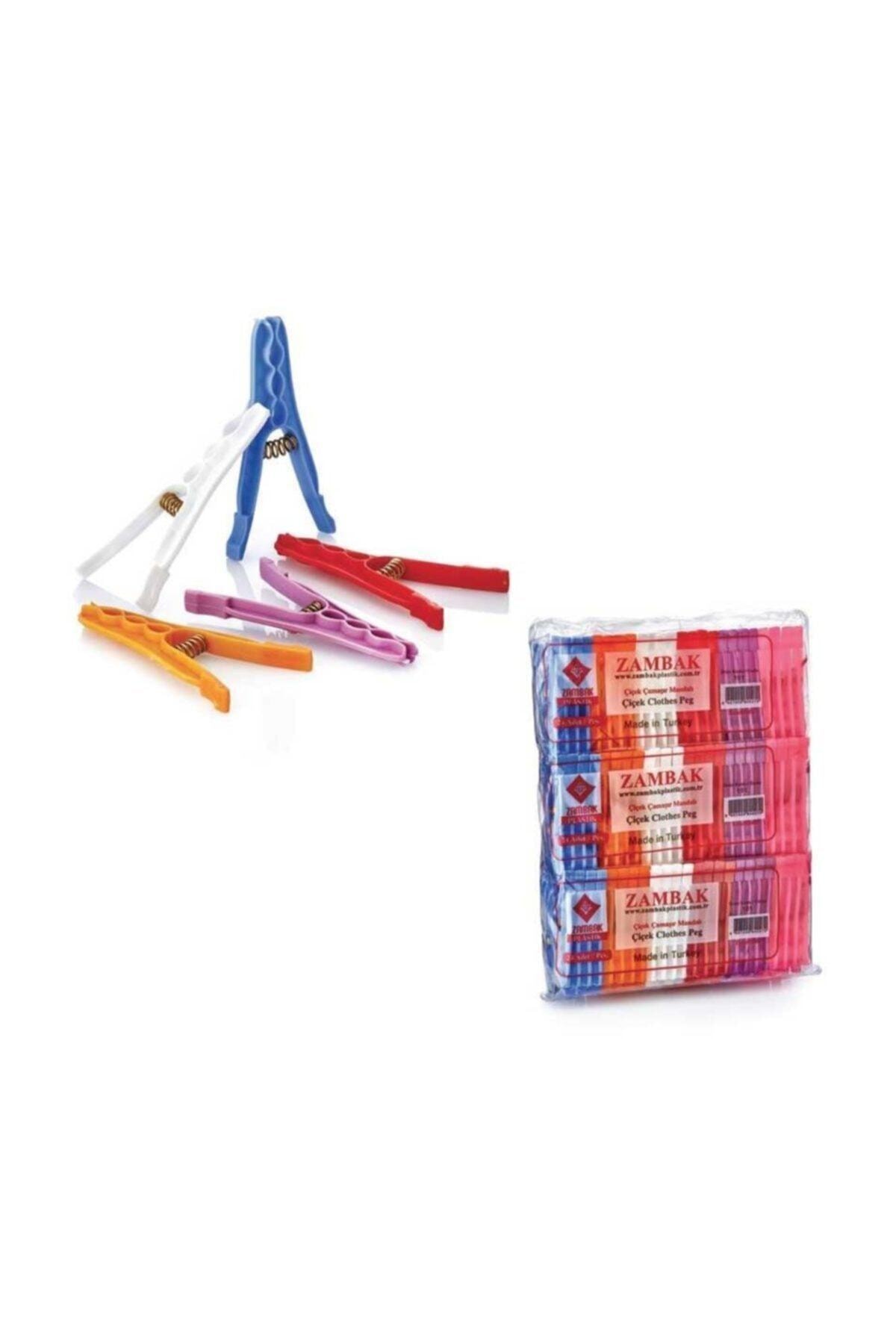 Flower Plastic Clothes Pegs Best Flower Site