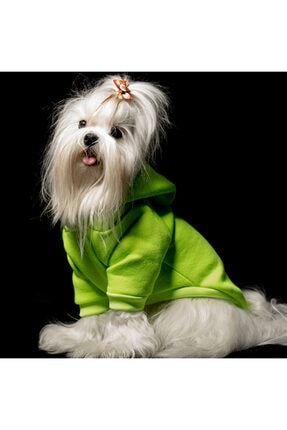 Kapüşonlu Nakışlı Sweatshirt Kedi Köpek Kıyafeti MAXSWS3SP