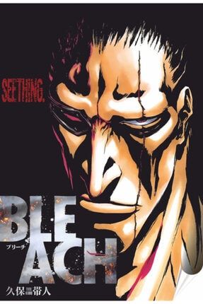 Bleach 4 Anime 30 X 45 Cm Kuşe Poster Silindir Kutulu Kargo 9665445445970
