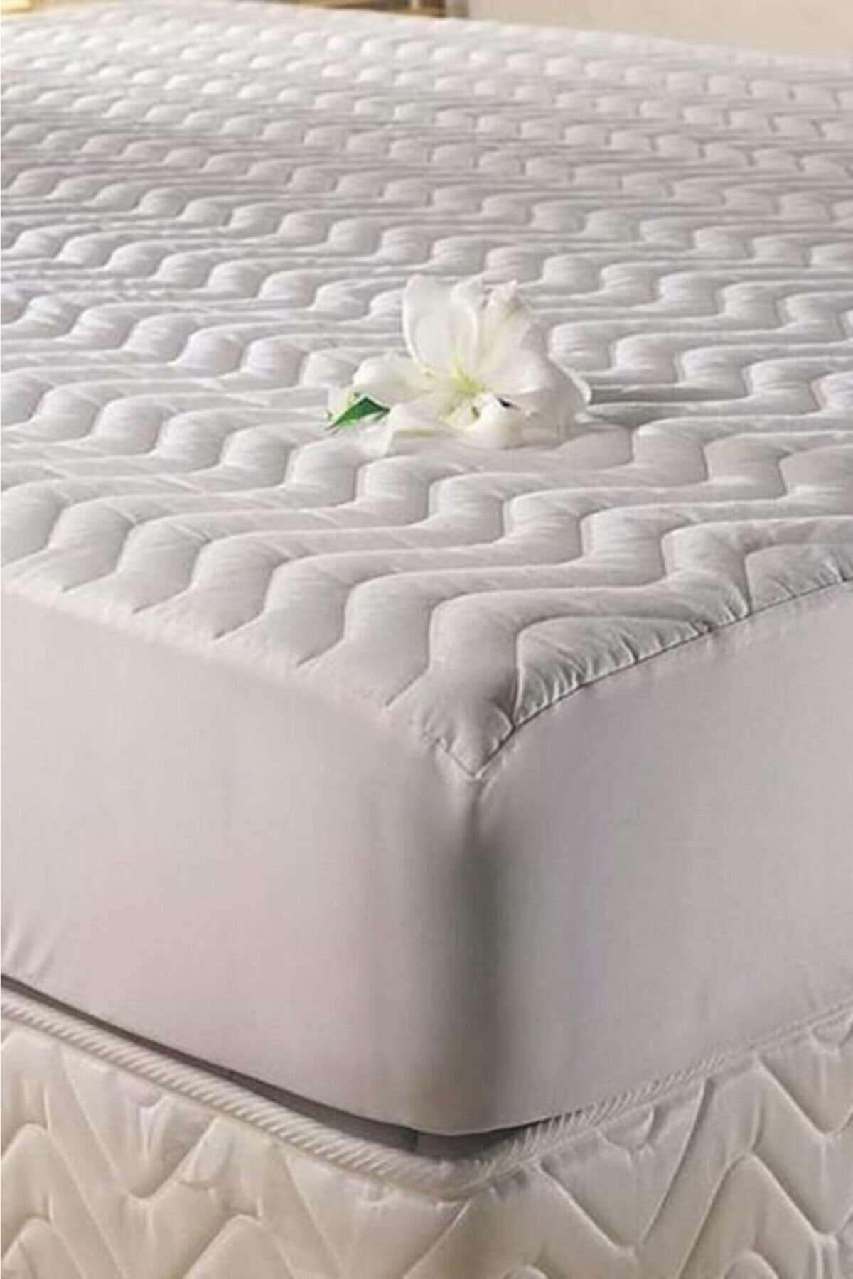 محافظ تشک 1807898 محافظ تشک 1807898