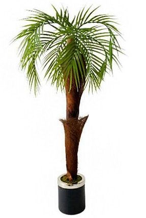 Palmiye Ağacı Siyah Metal Saksı Da Bambu Sopasına Lif Ile Sarılı Yapay Palmiye 90cm hv564231212
