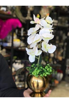 Tek Dal Beyaz Orkideli Antik Gold Mercan Vazo tkdlorkd