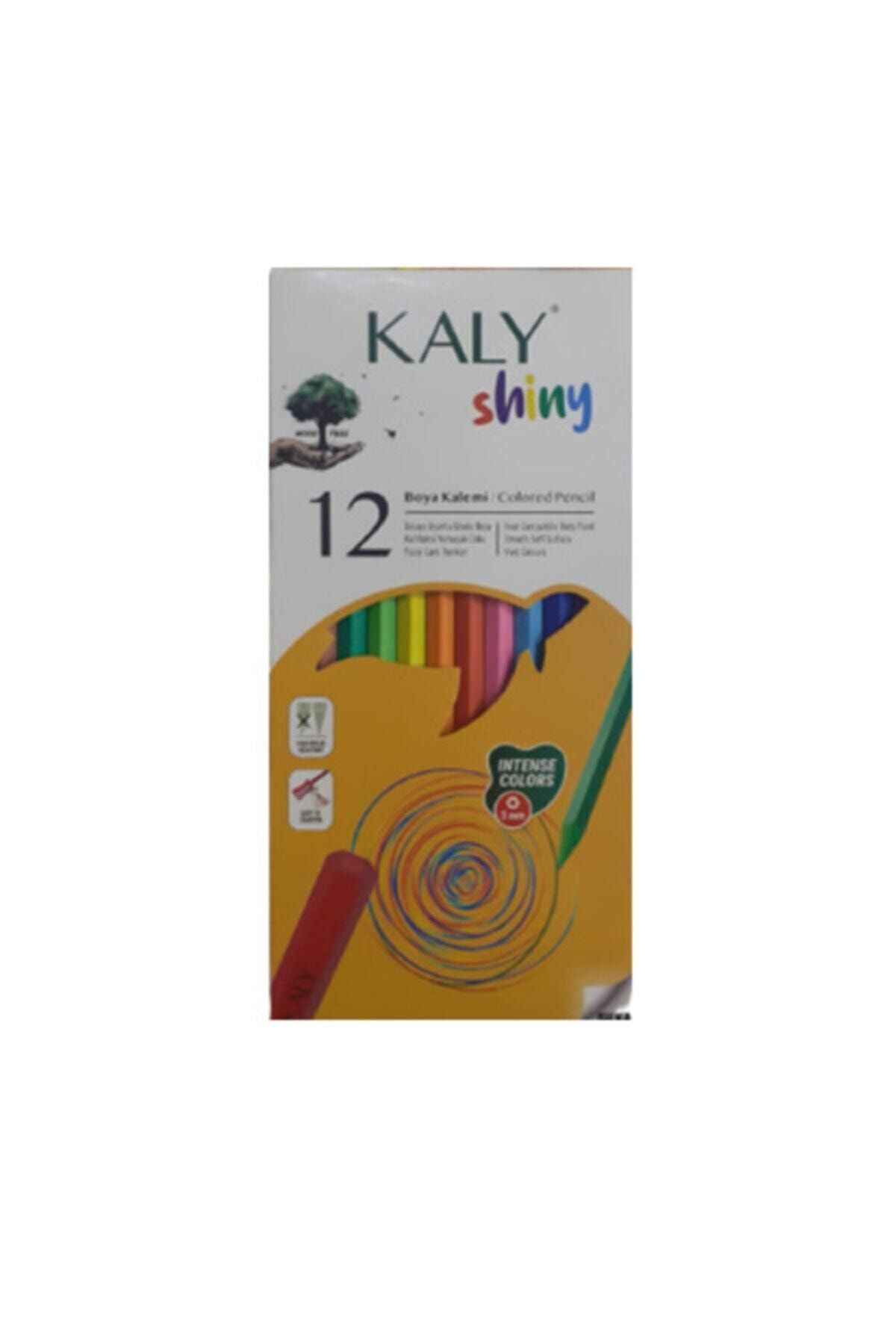 Gıpta Silka Kaly Shiny 12 Renk Boya Kalemi