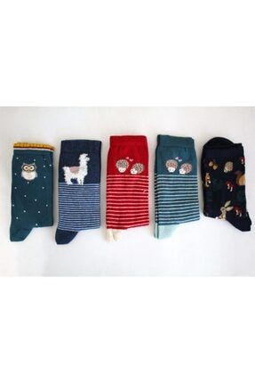 Kadın Soket Hayvanlar Desenli (kirpi Baykuş Kuzu Sincap ) Çorap Renkli 5'li Paket KİRPBAYKUŞ