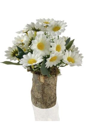 Yapay Çiçek Doğal Kütük Odun Saksıda Beyaz Papatya Masa Çiçeği 49951