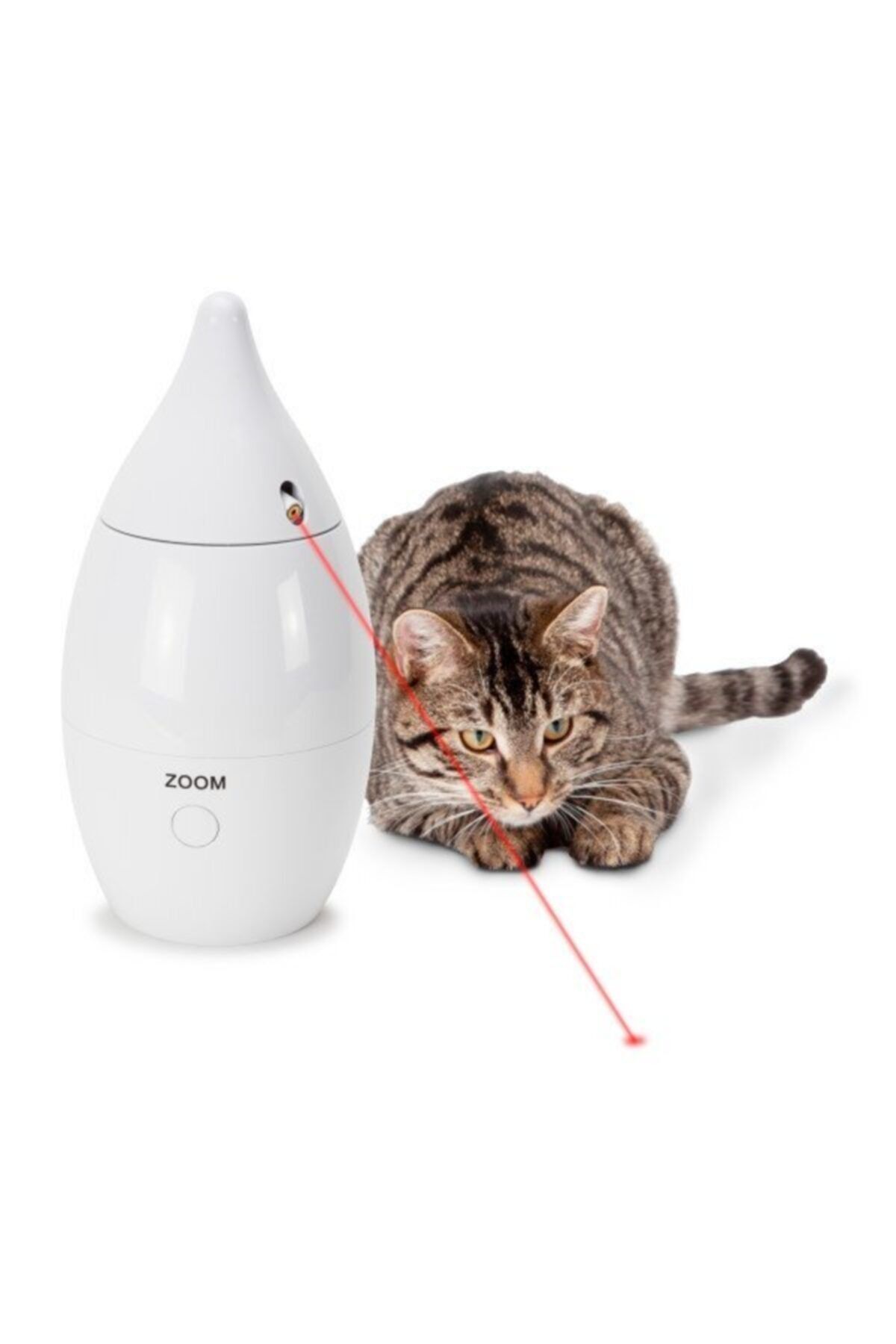 Petsafe flik sales