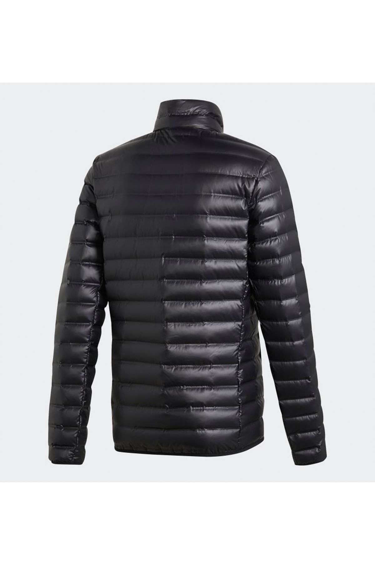 Bs1588 adidas online