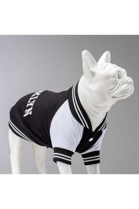 Brooklyn Küçük, Orta Ve Büyük Irk Köpek Sweatshirt CRS00
