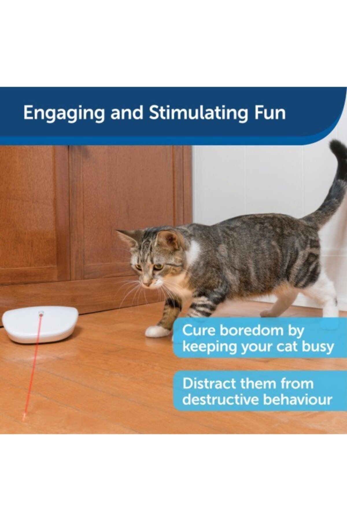 Pet Safe Cat Toys Trendyol