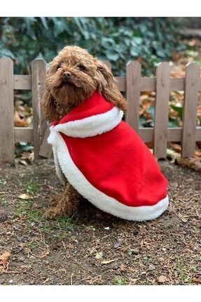 Köpek Kedi Yılbaşı Noel Pelerin Kıyafet 81221
