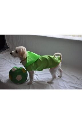 Köpek-kedi Yeşil Kapşonlu Yağmurluk SSK-2259996873022189