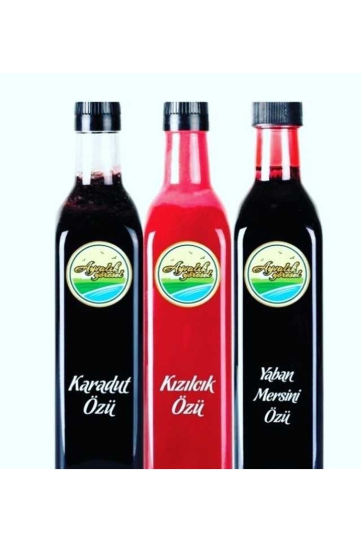 Ayvalık Yöresel Üçlü Öz Paketi * ( 350 Gram. Karadut , 350 gram Yaban Mersini , 350 gram Kızılcık Özü )