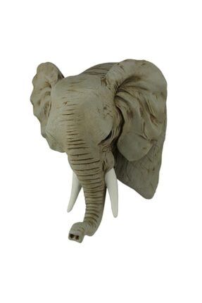 Fil Kafası Duvar Dekoru
