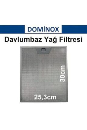 Davlumbaz Filtresi 253x300 Aspiratör Tel Filtre 25,3x30cm DOMİNOX TEL FİLTRE