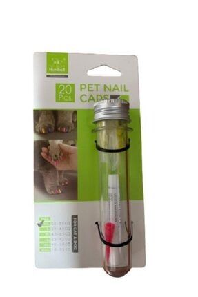 Nunbell Kedi Silikon Tirnak Koruyucu S Trendyol
