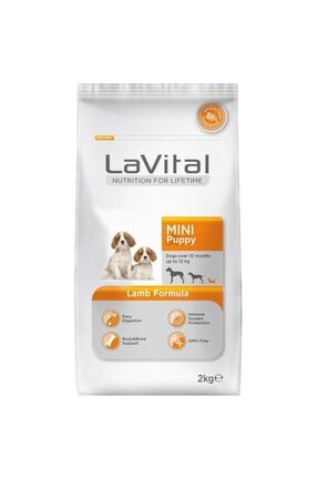Mydog Somon Balikli 1 Kg Kucuk Ve Orta Irk Kopek Mamasi Trendyol