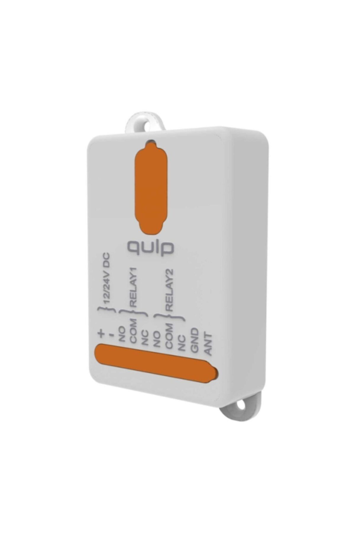 KONTAL-Qulp R1 12/24 Volt Dry Contact Receiver Card - 1 Channel 1