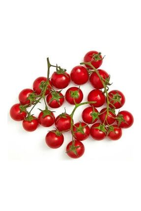 Cherry Domates Tohumu Organik Domates Tohumu 20 Adet + Torf + Saksı - Set