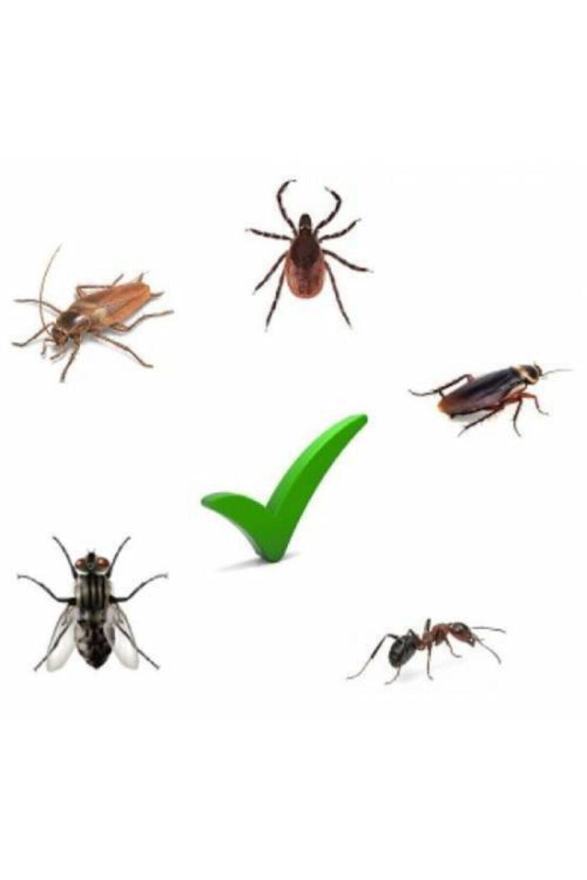 bermuda ew genel hasere ilaci 50 ml akrep kene pire hamambocegi tahtakurusu gumusbocegi fiyati yorumlari trendyol