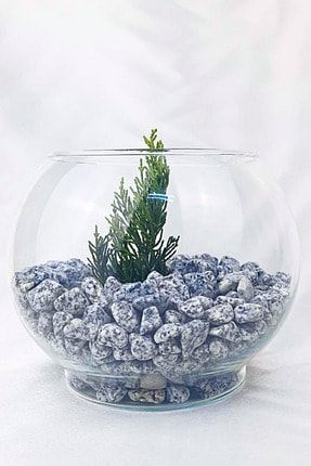 1kg Benekli Dolomit, 0,75/1,5 Cm Arası, Akvaryum Dekoru, Saksı Dekoru Benekli Pebbles