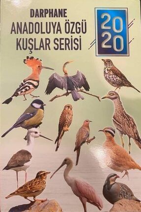 Anadoluya Özgü Kuşlar Set Çil 02