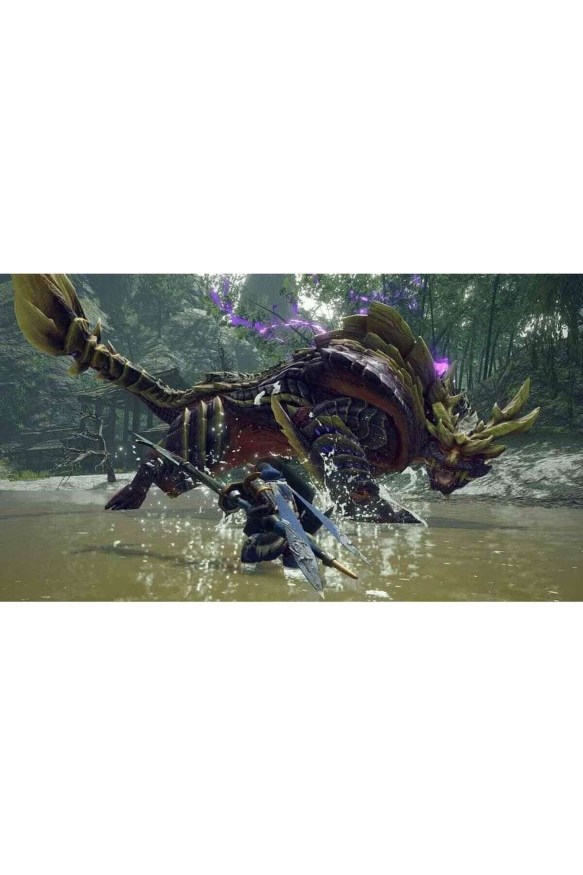 Monster hunter online on switch