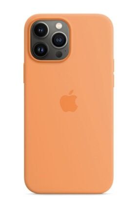 Iphone 13 Pro Max Uyumlu Logolu Lansman Telefon Kılıfı TLFNCYZ7106
