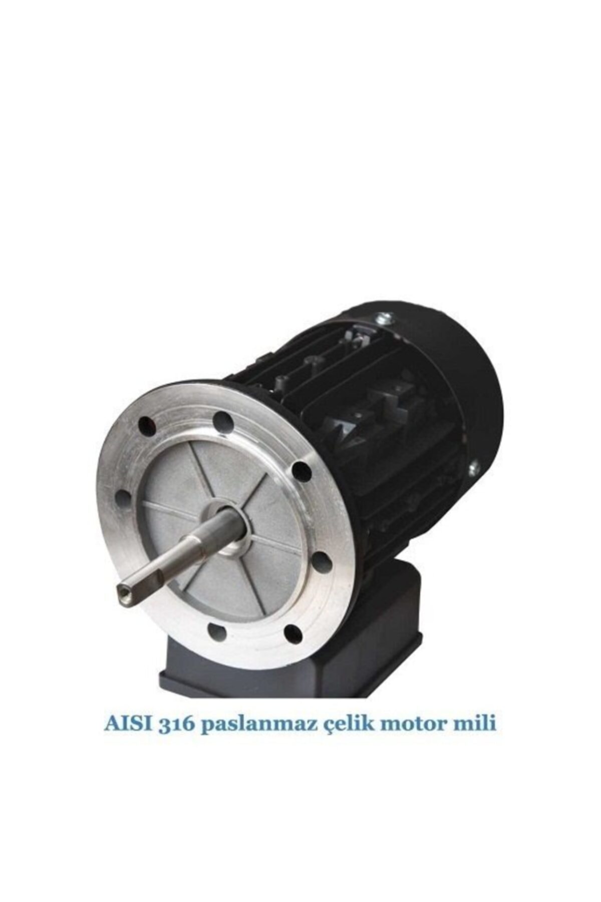 Havuz Pompası Streamer Mini 1 Hp 380 Volt 2