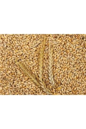 Doğal Tahıl Çimi Tohumları Arpa-buğday-yulaf Tohum Seti 250'şer Gram Toplam 750 Gram Tohum 250ser