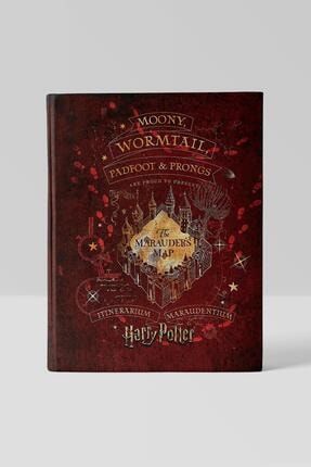 Kitap Görünümlü Dekoratif Kutu Harry Potter 14x21,5 Cm Lisanslı Çapulcu Haritası 216 52 10