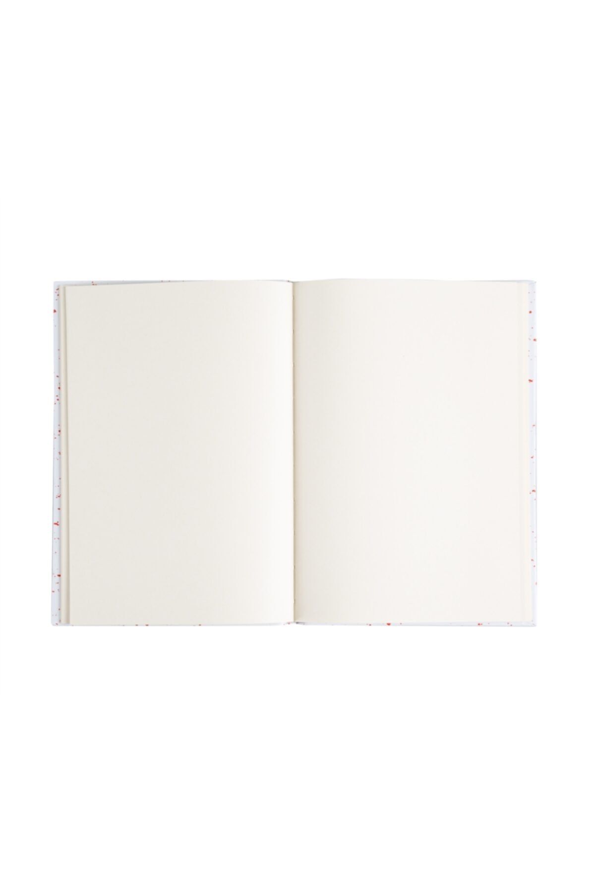 4nio-Snowflake - Elastic Notebook 4