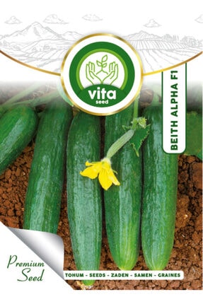 Vita Tohum Salatalık Tohumu Hıyar Tohumu Beith Alpha F1 25 gr